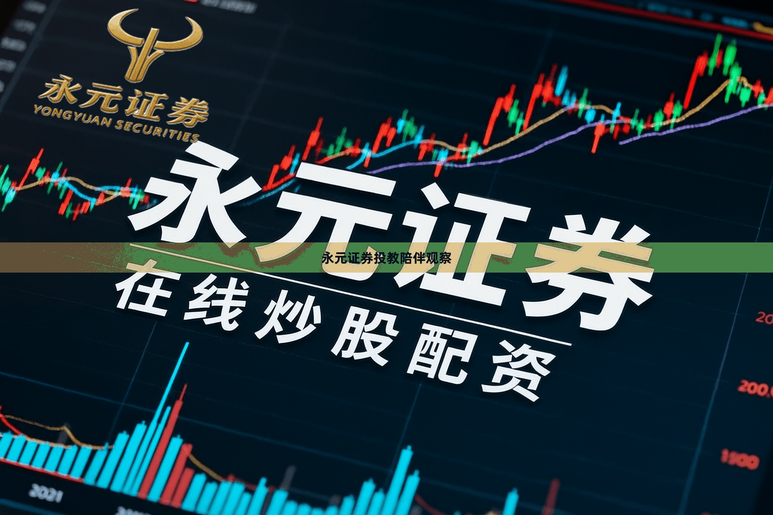 永元证券投教陪伴观察